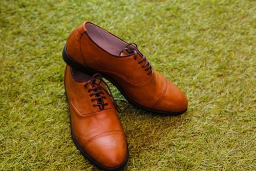 brown shoe footwear