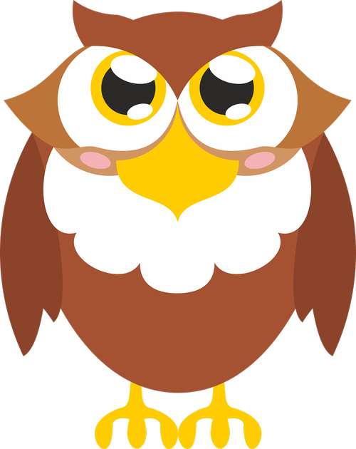 brown  bird  owl