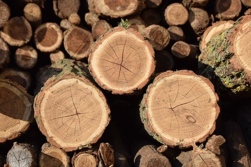 brown  log  wood