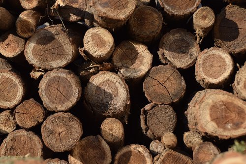 brown  log  wood