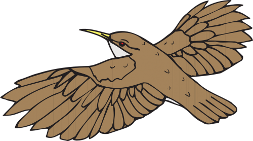 brown bird flying