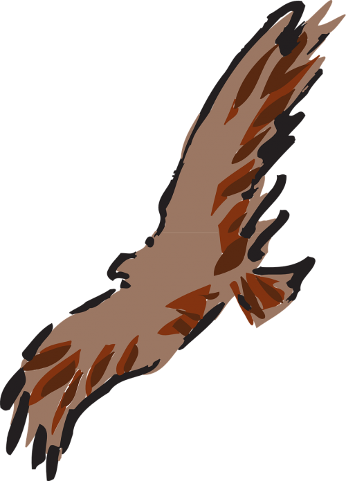 brown bird flying