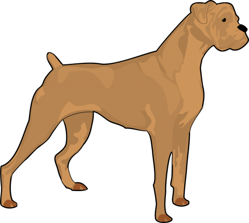 brown dog pet