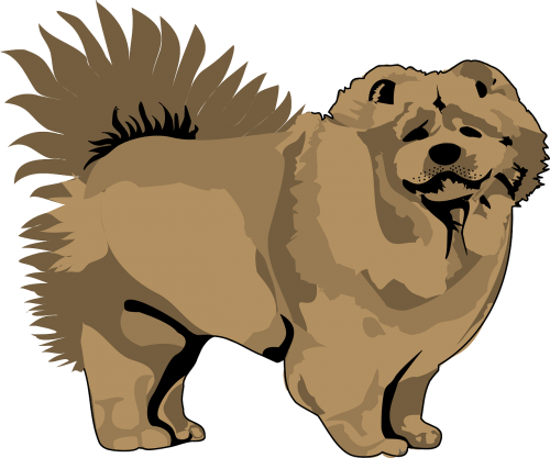 brown dog pet