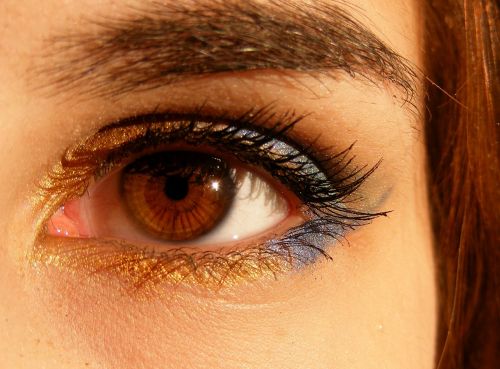 brown brown eyes iris