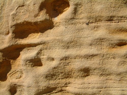 brown texture stone