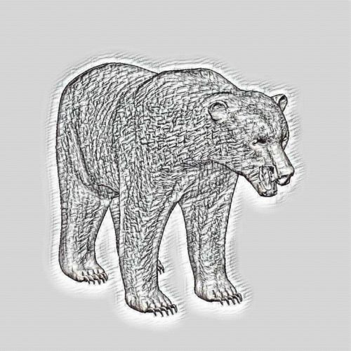 Brown Bear Sketch