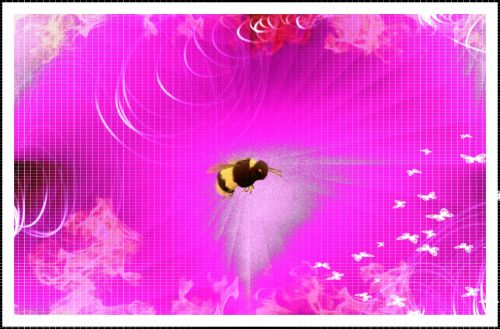 Brown Bee Pink Wallpaper
