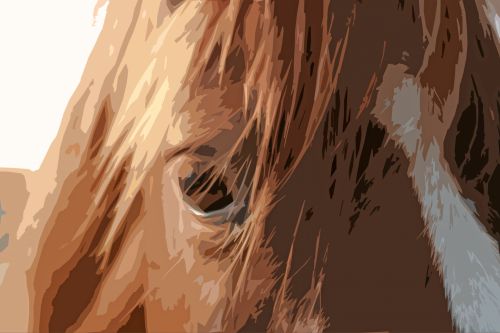 Brown Horse Cutout Image