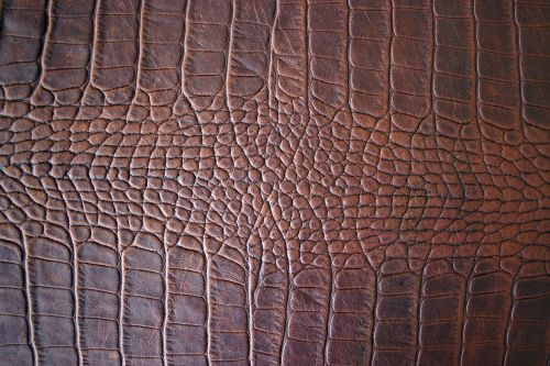 brown leather structure detail