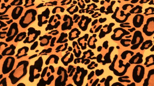 Brown Leopard Skin Background