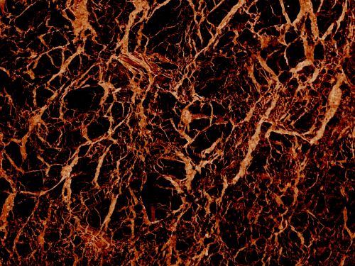 Brown Marble Background