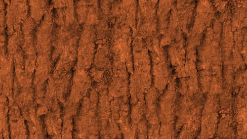 Brown Seamless Bark Background