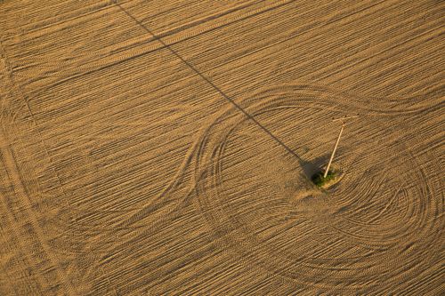 Brown Soil Field