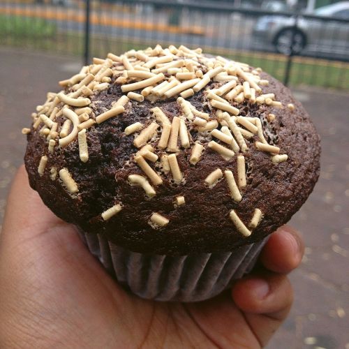 brownie bread food