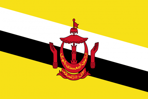brunei flag national flag