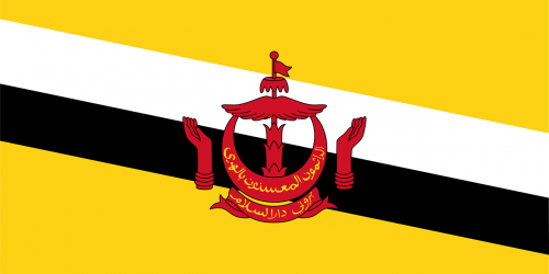 brunei flag nation