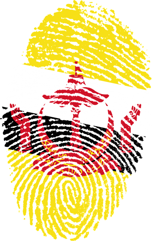 brunei flag fingerprint