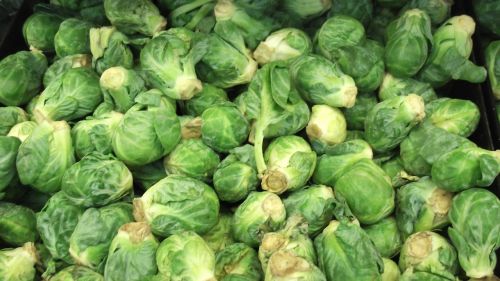 brussels sprout vegetable food