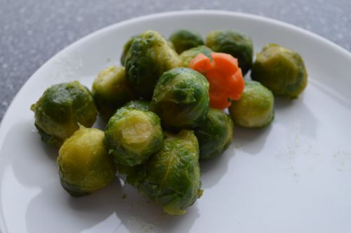 brussels sprout lunch vegetarian