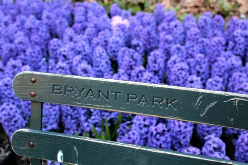 bryant park  fence  flowers
