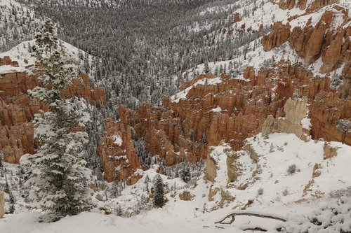 bryce  canyon  national