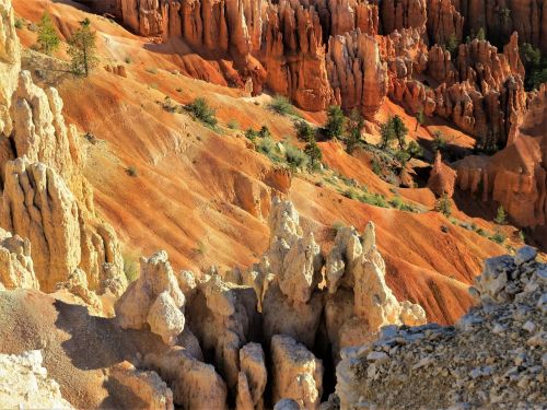 bryce canyon red sandstone hiking