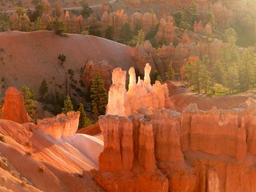 bryce canyon glowing rocks at sunrise sunrise