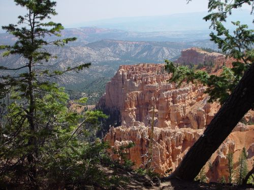 bryce canyon pines national