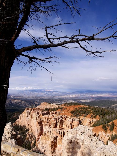 bryce canyon utah usa