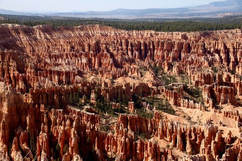 bryce national park  utah  usa