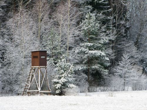 bryony hunting winter