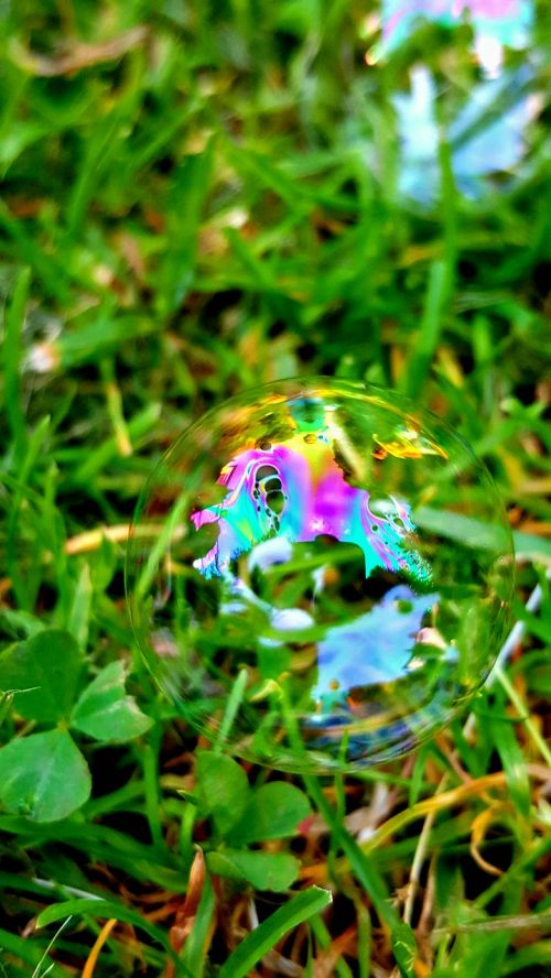 bubble colour grass