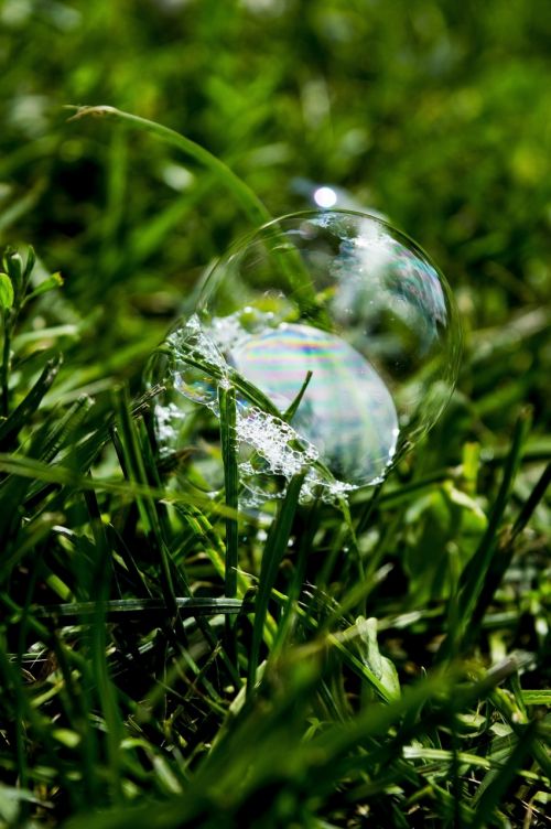 bubble grass sphere