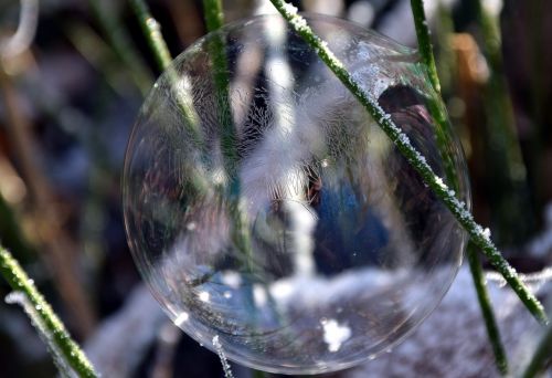 bubble soap bubble ball