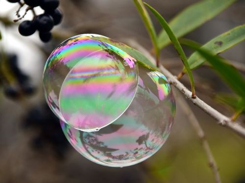 bubble soap bubble iridescent