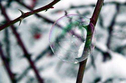 bubble soap bubble winter