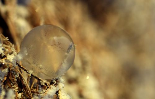 bubble soap bubble frozen