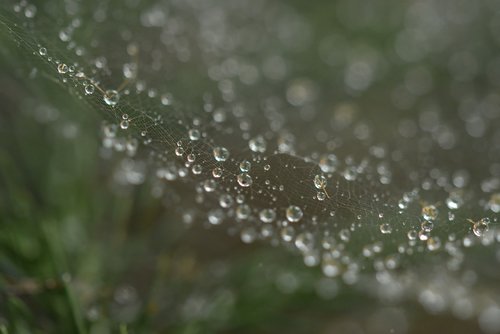 bubble  droplets  spiderweb
