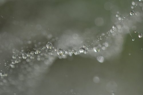 bubble  droplets  spiderweb