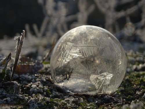 bubble  winter  frost