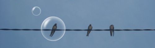 bubble birds string