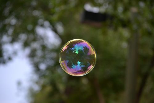 bubble soap nature