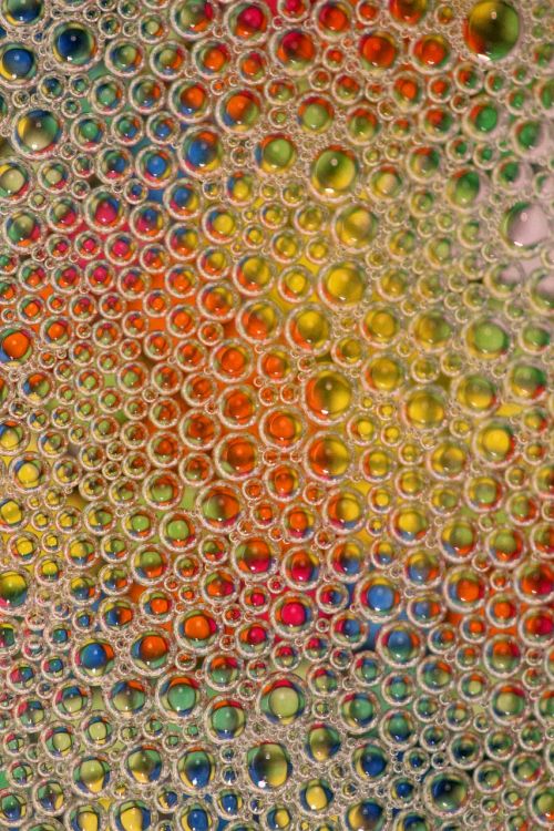 bubbles macro abstract