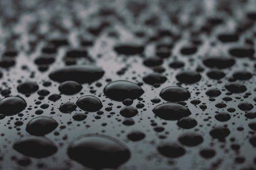 bubbles water monochrome