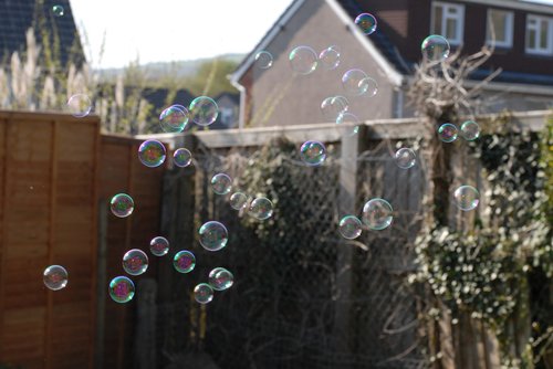 bubbles  outside  fun