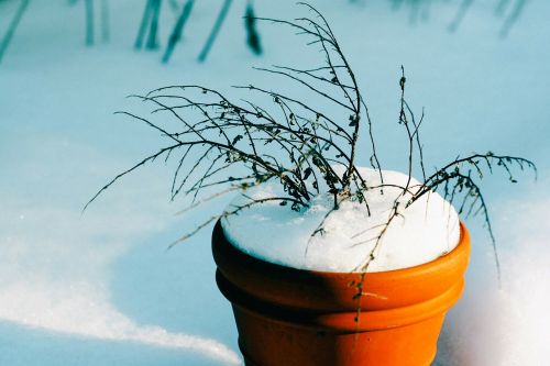bucket flower pot snow