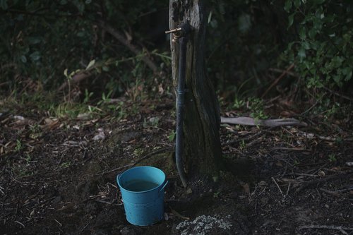 bucket  water  tap