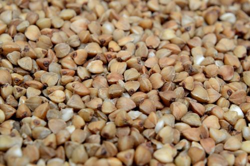 buckwheat food nutrition