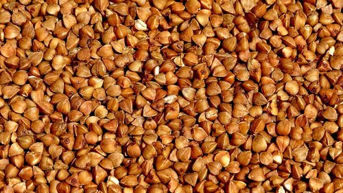 buckwheat  grain  texture